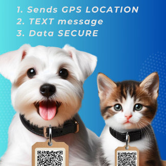 Médaillon Pour Animaux Code QR de balise de chien rond