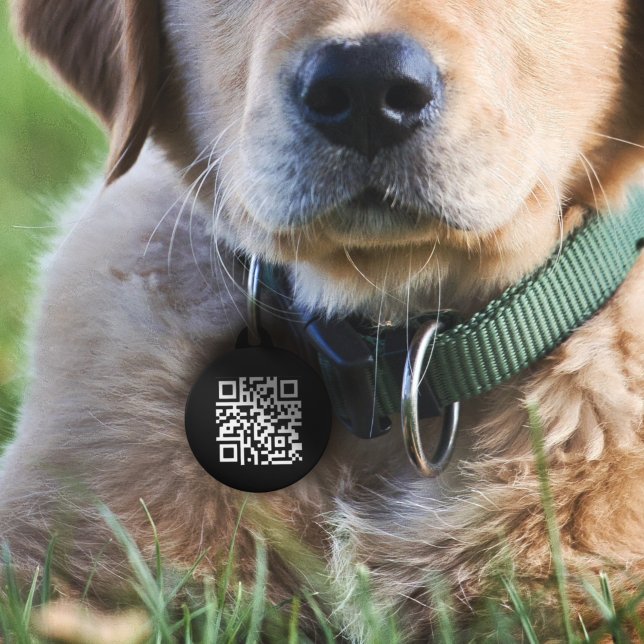 Médaillon Pour Animaux Code QR | Moderne Scannable Noir Si Perdu (Créateur téléchargé)