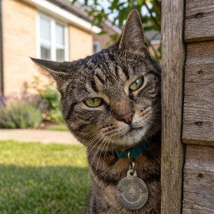 Médaillon Pour Animaux Collier Le Chat d'Argent Chasseur de Souris pour C
