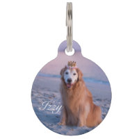 Collier personnalisé avec photo de l'animal et pla