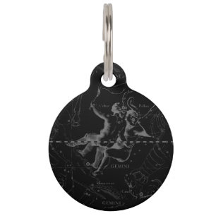 Médaillon Pour Animaux Constellation de Gémeaux par Hevelius 1690