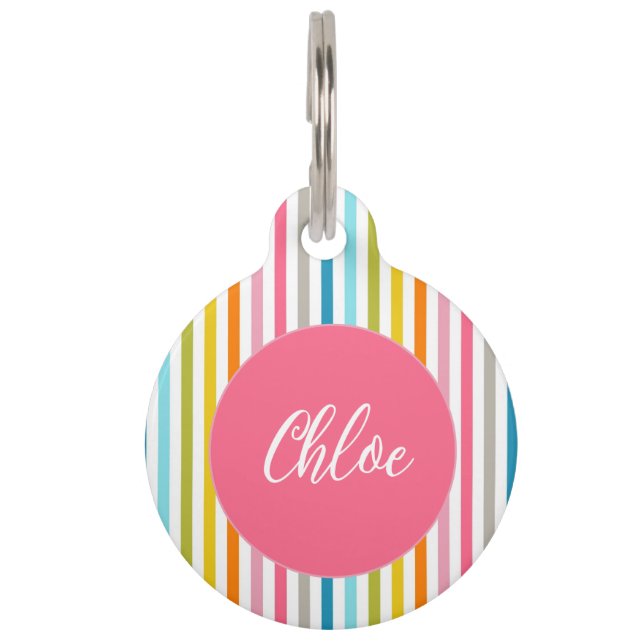 Médaillon Pour Animaux Couleur été arc-en-ciel rayures (Devant)