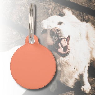 Médaillon Pour Animaux Couleur solide rose saumon   Couleur tendance