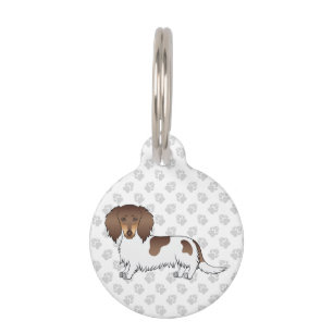 Médaillon Pour Animaux Dachshund à poils longs piebalds chocolat et feu &