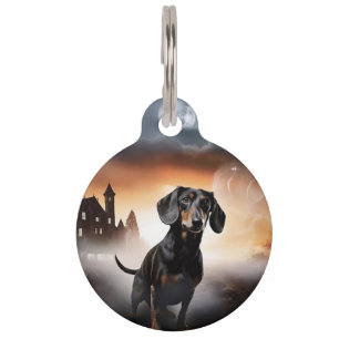 Médaillon Pour Animaux Dachshund Halloween effroi