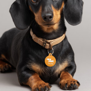 Médaillon Pour Animaux Dachshund Orange Charm Nom personnalisé Contact