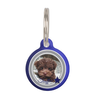Médaillon Pour Animaux Dallas Fan de Chien  ID de Compagnon Personnalisab
