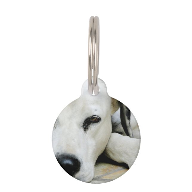Médaillon Pour Animaux Dalmatien (Devant)