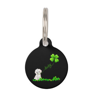 Médaillon Pour Animaux Dog Lover Irish Shamrock Lucky With Cute Maltese