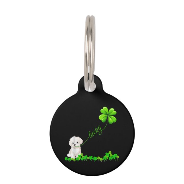 Médaillon Pour Animaux Dog Lover | Irish Shamrock Lucky With Cute Maltese (Devant)