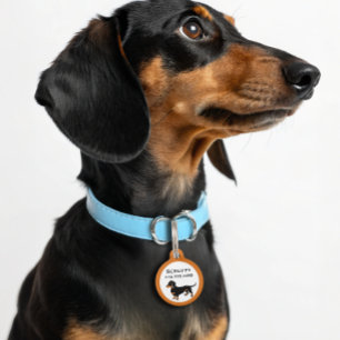 Médaillon Pour Animaux Doxie Dog Love - Joli Petit Dachshund