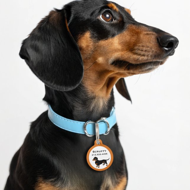 Médaillon Pour Animaux Doxie Dog Love - Joli Petit Dachshund (Créateur téléchargé)