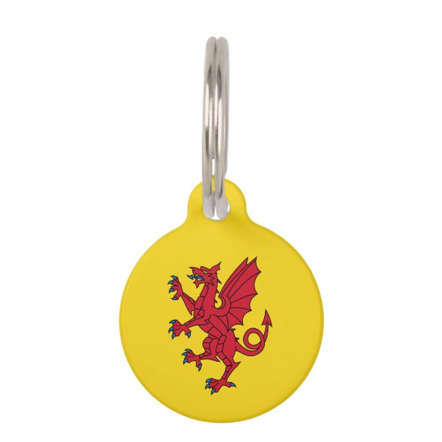 Médaillon Pour Animaux Drapeau de Somerset (Devant)