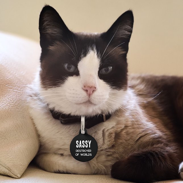 Médaillon Pour Animaux Drôle détroyer de chats des mondes (Créateur téléchargé)