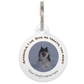 Médaillon Pour Animaux Étiquette de chien avec l'adresse, personnalisable