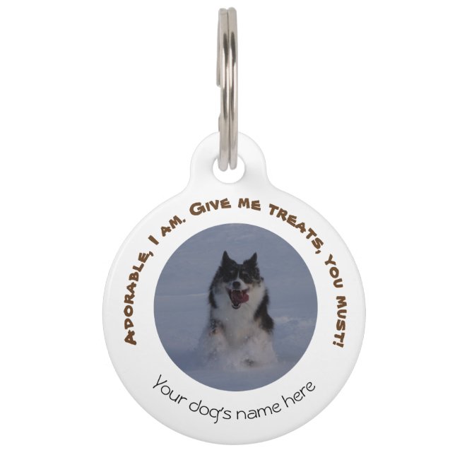 Médaillon Pour Animaux Étiquette de chien avec l'adresse, personnalisable (Devant)