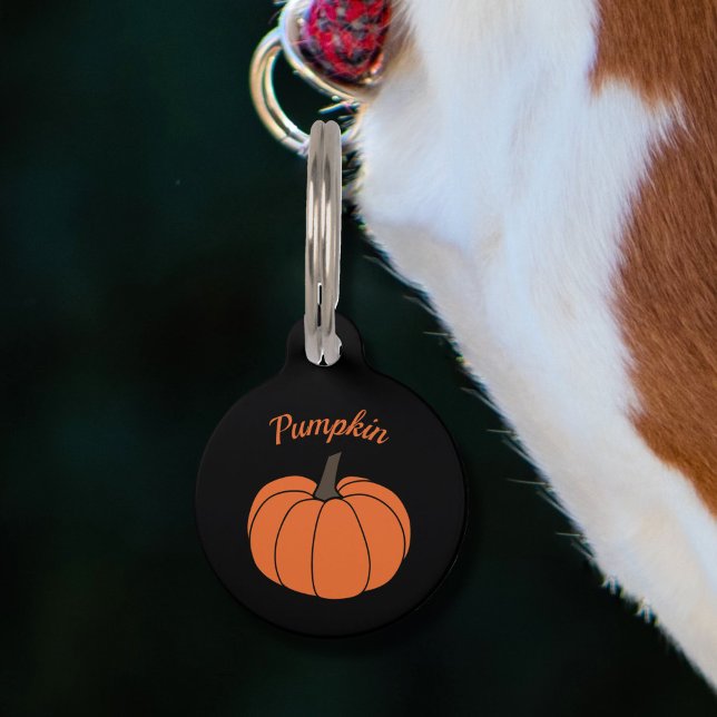 Médaillon Pour Animaux Étiquette de compagnon citrouille (Pumpkin Pet Tag)
