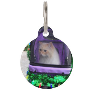 Médaillon Pour Animaux étiquette d'identification de chat