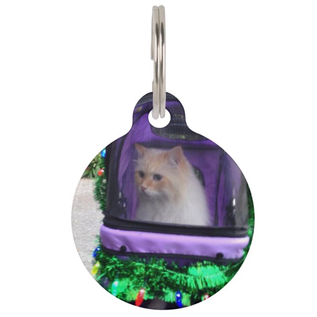 Médaillon Pour Animaux étiquette d'identification de chat (Devant)