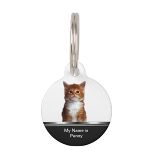 Médaillon Pour Animaux Étiquette d'identification de chat domestique