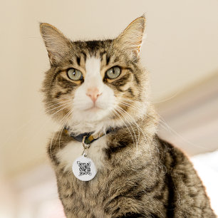 Médaillon Pour Animaux Étiquette d'identification de l'animal   Code QR à