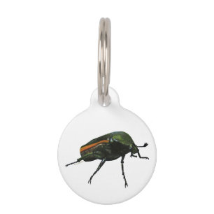 Médaillon Pour Animaux Étiquette pour animal de compagnie rond de scarabé