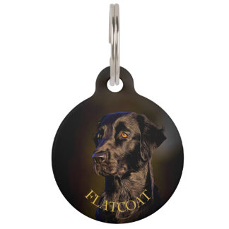 Médaillon Pour Animaux Étiquette ronde Retriever à revêtement plat