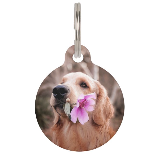 Médaillon Pour Animaux Étiquettes de chien/animal de compagnie d'identifi (Devant)
