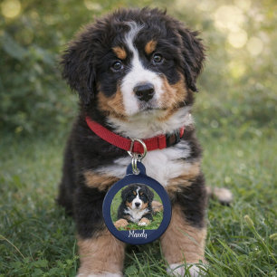 Médaillon Pour Animaux Faites votre propre nom de photo de chien coordonn