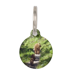 Médaillon Pour Animaux Famille d'ours Brown