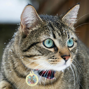 Médaillon Pour Animaux Fantaisie Pastel Chat Féerique Tigré Floral 