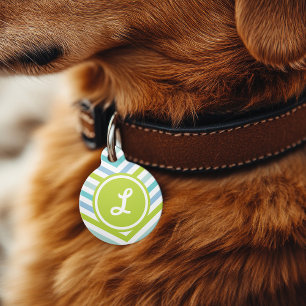 Médaillon Pour Animaux Flèche colorée Chevron Monogramme