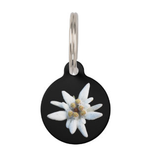 Médaillon Pour Animaux Fleur d'edelweiss