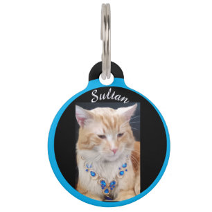 Médaillon Pour Animaux Ginger Cat, Bijoux, Nom et personnaliser photo,