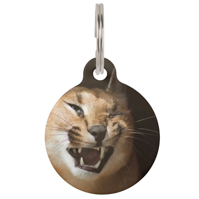 Médaillon Pour Animaux Goofy Lynx (Devant)