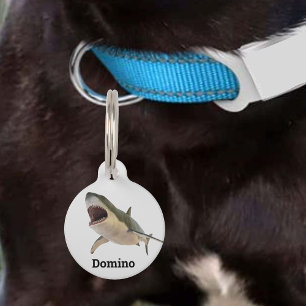 Médaillon Pour Animaux Grand requin blanc chien animal chat ID perdu