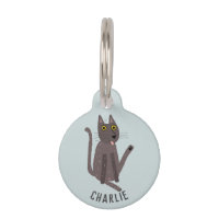 Humour drôle de chat