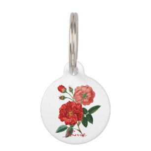 Médaillon Pour Animaux Illustration de la Rose rouge Vintage Thunder_Cove