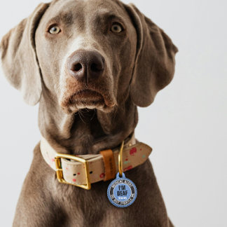 Médaillon Pour Animaux Je suis Alerte Médicale Personnalisée pour Personn