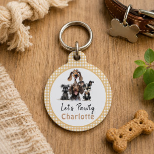 Médaillon Pour Animaux Joyeux Anniversaire Chien Let's Pawty