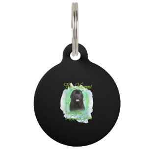 Médaillon Pour Animaux Le Moment Où Je T'ai Vu Je T'ai Aimé Cadeau Chien