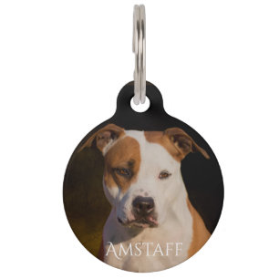 Médaillon Pour Animaux Le Staffordshire Terrier américain