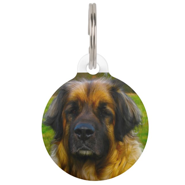 Médaillon Pour Animaux Leonberger Dog. (Devant)
