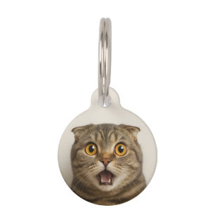 Médaillon Pour Animaux Les lesbiennes mangent quoi de drôle