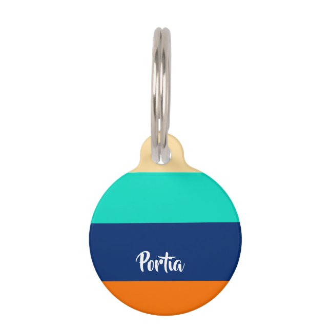 Médaillon Pour Animaux Lignes multicolores à motif (Devant)