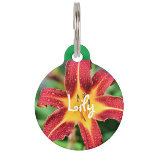 Médaillon Pour Animaux Lily
