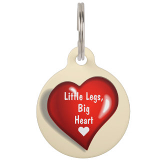 Médaillon Pour Animaux Little Legs Big Heart Pet ID Tag