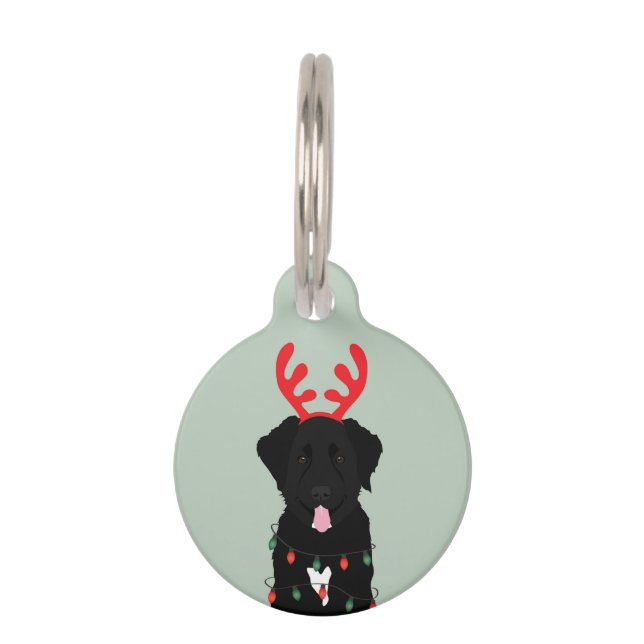 Médaillon Pour Animaux Lumières de Noël des rennes de chien noir (Devant)