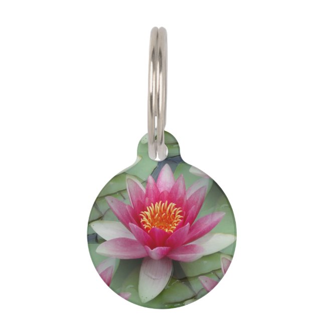 Médaillon Pour Animaux Lys d'eau de Lotus rose (Devant)