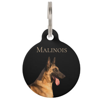 Médaillon Pour Animaux Malinois